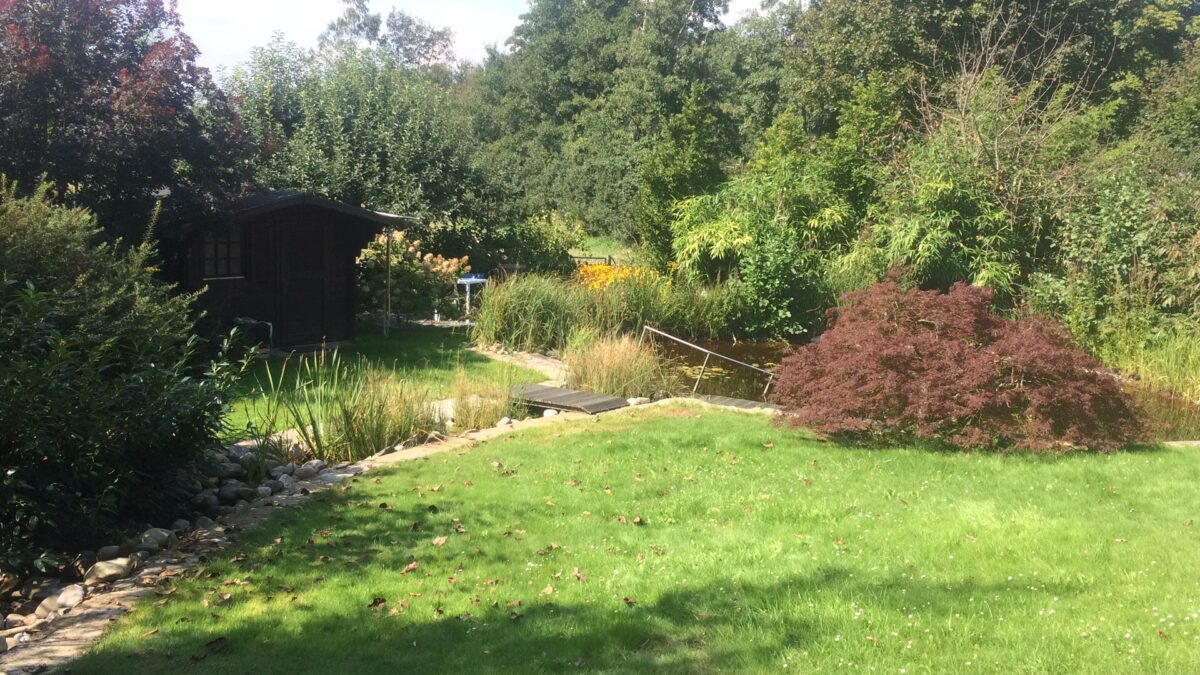 WOHLFÜHLHAUS SOMMER-SPECIAL
